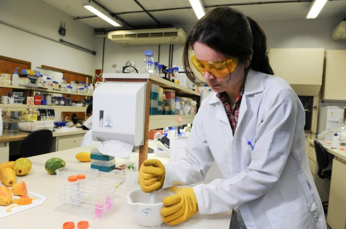 Fundação dá 250 mil reais para projetos de Ciência & Tecnologia