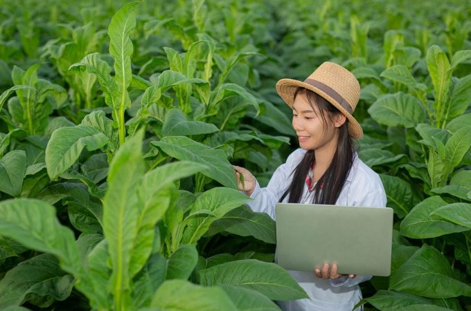 Focadas em sustentabilidade, cleantechs ganham espaço no mercado de startups